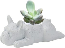 Ctpeng Small Dog Resin Plant Pot,French Bulldog Succulent Planter Pot,For, White - £21.57 GBP