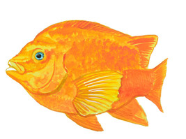 Garibaldi Fish Sticker Decal Home Office Dorm Wall Exclusive Art Tablet ... - $6.95+