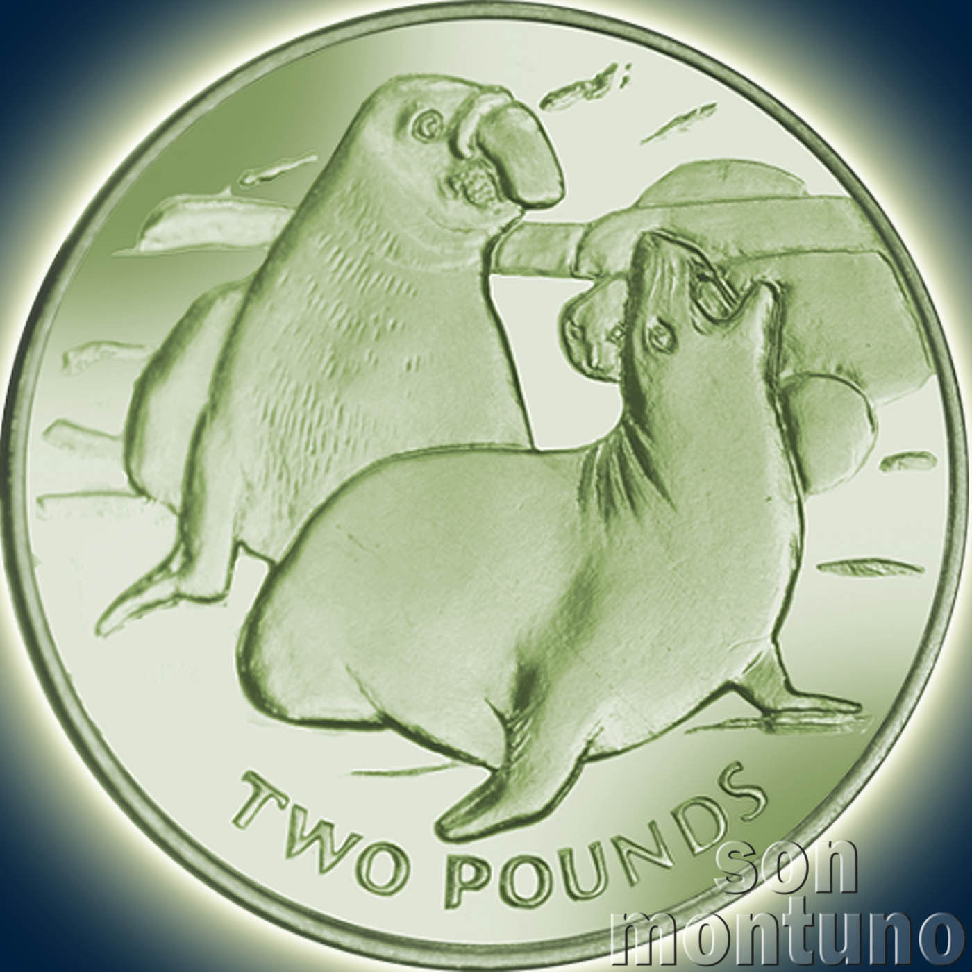 2017 Elephant Seal - TITANIUM Coin in BOX + COA South Georgia & Sandwich Islands - $59.00