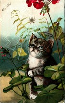 Adorable Big Eyes Kitten Watching Spider Red Flowers 1908 DB Postcard E4 - $18.76