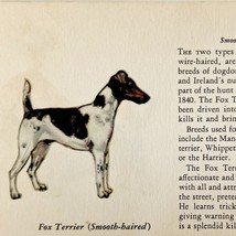 Fox Terrier Smooth 1939 Dog Breed Art Ole Larsen Color Plate Print PCBG17 - €25,48 EUR