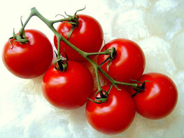 Campari Tomato Sweet Vine Tomatoes Exotic Fruit Vegetables Plant Seed 50 Seeds G - £15.63 GBP