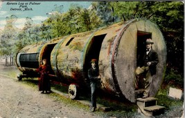 Detroit Michigan Spruce Log at Palmer Park 1910 Postcard Y12 - £7.82 GBP