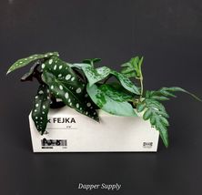 Ikea FEJKA Artificial Potted Plant 5" Indoor/Outdoor Green Pothos - $14.90