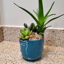 Succulent Arrangement in Blue Face Planter, Indoor House Plant Pot, 4" Ceramic image 8
