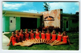 Weeki Wachee Mermaids Florida Postcard Women Lined Up In Swimsuits Chrome Unused - £10.48 GBP