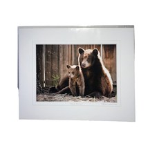 Jim Stamates &quot;&quot;Family Portrait&quot; Photography - £66.10 GBP