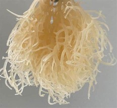 Irish sea moss semveta 50g - $10.75