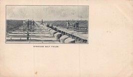 Syracuse New York ~ Sale Fields ~ 1900s Cartolina Con Aincient Monete Su Reverse - £6.66 GBP