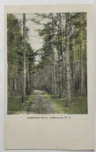 Lakewood NJ Cathedral Drive Beautiful Wooded Scene Path View c1906 Postcard S17 - $6.95