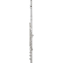 Wm. S Haynes Flute Sterling Silver Riser And Lip Plate - £1,514.04 GBP