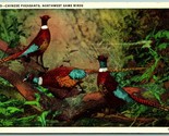 Chinese Pheasants Northwest Game Birds Linen Postcard H7 - $2.92