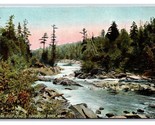 Scene on West Branch Penobscot River Maine ME UNP DB Postcard U8 - $4.42