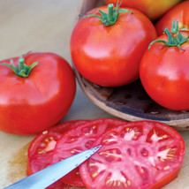 HS 50 Seeds Burbank Tomato Juicy Tomatoe Vegetable Garden Edible Food - $5.49