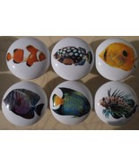 Ceramic Cabinet Knobs w/ Tropical Fish (6) - $476.49 MXN