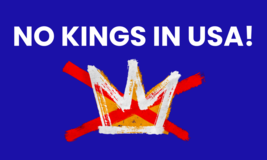 No Kings In USA Flag Blue 3x5 FT - $472.42 MXN