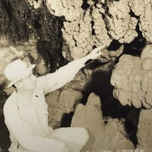 Grapes In Wine Room Meramec Caverns Stanton Missouri RPPC Postcard Vintage - £7.95 GBP