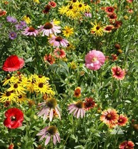Wildflower Mix Bee Feed Native Bees Pollinators Fresh Garden Non-Gmo 100... - £7.75 GBP