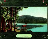 Natura Scene Cervo Su Lookout Simil Legno Telaio 1910 DB Cartolina Unp A5 - $5.08