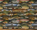 Cotton Fish Types Varieties Families Animals Fabric Print by the Yard D7... - £7.79 GBP