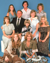 Eight Is Enough Dick Van Patten Lani O&#39;Grady Willie Aames cast 16x20 Poster - £15.97 GBP
