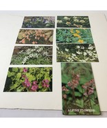 Vintage Set Of 7 Alpine Plants Japan Postcards Floral Blank Unposted Cards - $14.03