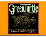 1920 Green Turtle Fruit Label Haines City Florida FL UNP Contiental Post... - £3.13 GBP