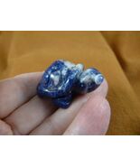 Y-TUR-LA-614) blue Sodalite TORTOISE TURTLE FIGURINE gemstone statue tur... - €17,04 EUR