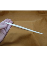 (F352-301) XL 8-1/8&quot; Stingray Ray barbs modern Himantura chaophraya barb... - $1,716.25 MXN