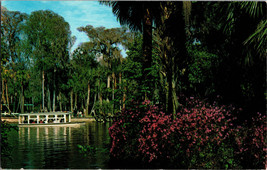 Postcard Florida&#39;s Silver Springs USA Home of the Glass Bottom Boats (All) - £3.88 GBP