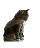 Animal Chain-mail Armor For Cats and Dogs Pet - £53.23 GBP