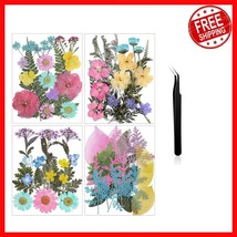 Dried Floral Craft Supplies - 68 Pastel Flowers &amp; Tweezers for DIY Creat... - $27.15