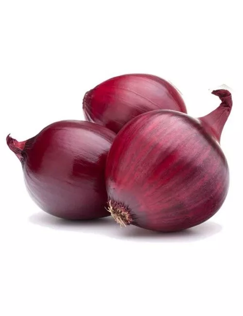 250 Seeds Red Burgundy Onion NON-GMO - £2.99 GBP