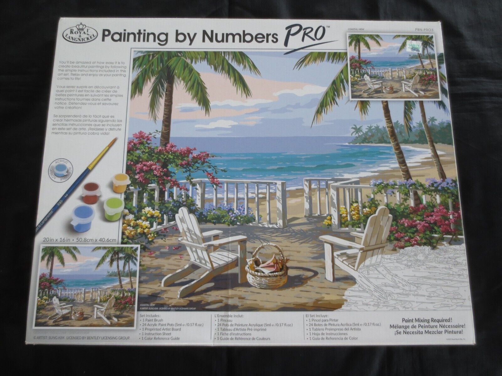 NIB Royal Langnickel COASTAL VIEW Paint By Number PAINTING KIT - 20" x 16" - $20.00