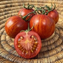 50 Seeds Red Zebra Tomato Tomatoe Vegetable Garden Edible Canning - £4.90 GBP