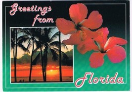 Florida Postcard Palm Trees Sunset Orchids - £1.69 GBP