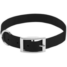 Westminster Pet Products 31829TV Pet Expert 3/4&quot; x 20&quot; Black Dog Collar, - £20.88 GBP