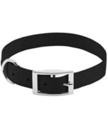 Westminster Pet Products 31829TV Pet Expert 3/4&quot; x 20&quot; Black Dog Collar, - $26.84