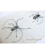 Flat Faced Longhorn Beetles Gerania Bosci Pair Entomology Collectible Di... - $106.20 CAD