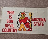 Large Arizona State &quot;This Is Sun Devil Country&quot; Rug 43&#39;&#39; x 23&#39;&#39; Vintage - $37.99