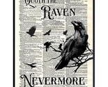 The Raven, Edgar Allan Poe, Nevermore - Medieval Decor - Gift For Wicca,... - $24.69