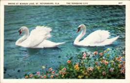 St Petersburg FL Swans at Mirror Lake Postcard unused 1930s/40s nostalgia a3 - £17.70 GBP