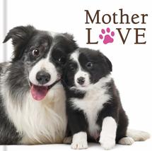 Mother Love (Dogs) New Seasons and Publications International Ltd. - £5.82 GBP