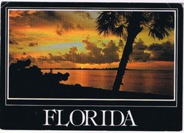 Florida Postcard Sunshine State Tropical Sunset Palms &amp; Sea Grapes - $2.16