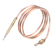 Electrolux Professional 1225-0290175 Thermocouple M9X1 L85CM fits for AG... - $97.89