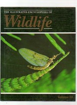 The Illustrated Encyclopedia Of Wildlife Volume 39 Invertebrates - £3.12 GBP