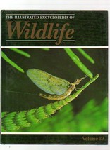 THE ILLUSTRATED ENCYCLOPEDIA OF WILDLIFE VOLUME 39 INVERTEBRATES - £3.07 GBP