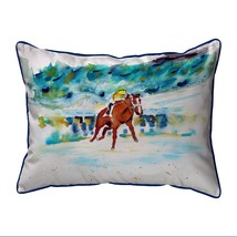 Betsy Drake Fast Start Extra Large Zippered Pillow 20x24 - £48.65 GBP