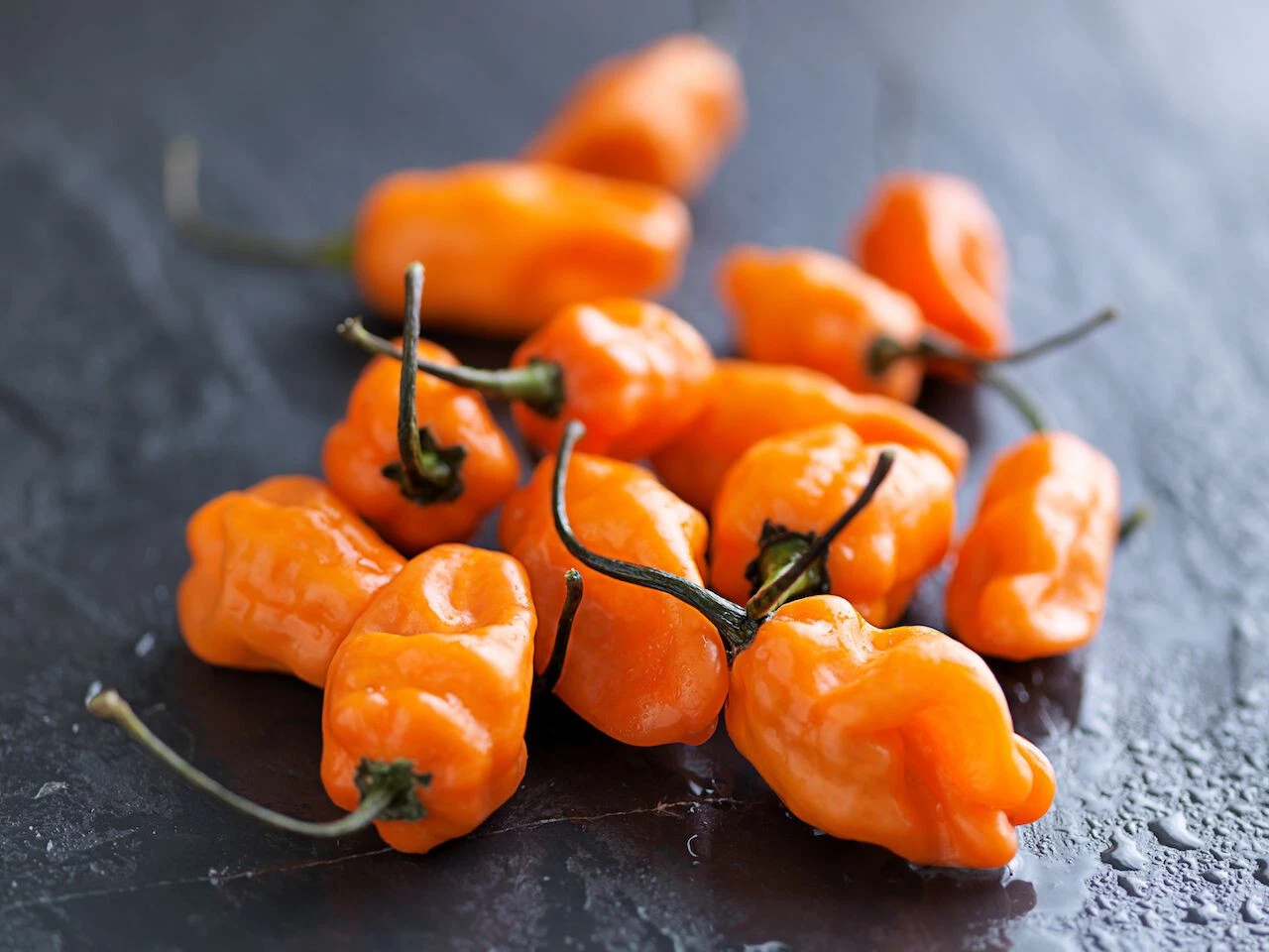 25 SEEDS TigerPaw-NR Habanero Pepper Garden Vegetables Planting Edible Food - $5.24