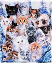 Dawhud Direct Collage Kitten Fleece Blanket For Bed, 50&quot; X 60&quot; Cute Fleece Throw - £27.25 GBP